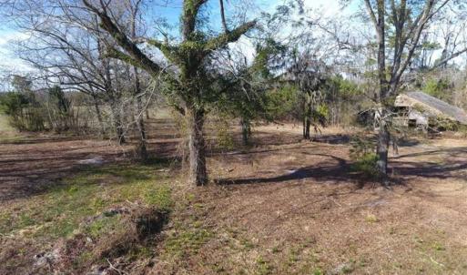 Photo of REDUCED!  191.03 Acres of Farm and Timber Land for Sale in Horry County SC!