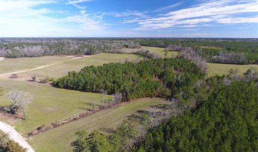 Photo of REDUCED!  191.03 Acres of Farm and Timber Land for Sale in Horry County SC!