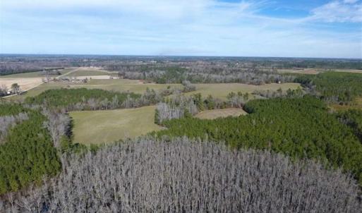 Photo of REDUCED!  191.03 Acres of Farm and Timber Land for Sale in Horry County SC!
