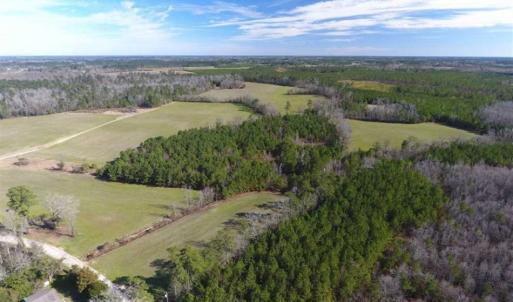 Photo of REDUCED!  191.03 Acres of Farm and Timber Land for Sale in Horry County SC!