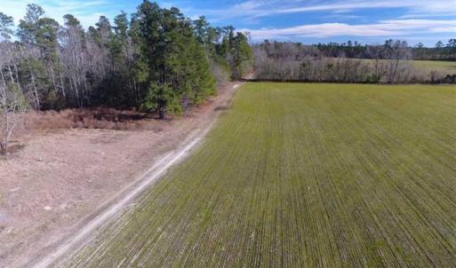 Photo of REDUCED!  191.03 Acres of Farm and Timber Land for Sale in Horry County SC!