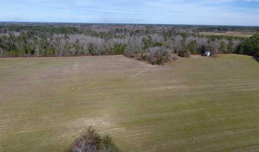 Photo of REDUCED!  191.03 Acres of Farm and Timber Land for Sale in Horry County SC!