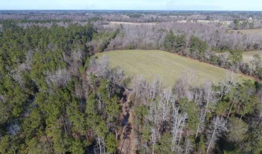 Photo of REDUCED!  191.03 Acres of Farm and Timber Land for Sale in Horry County SC!