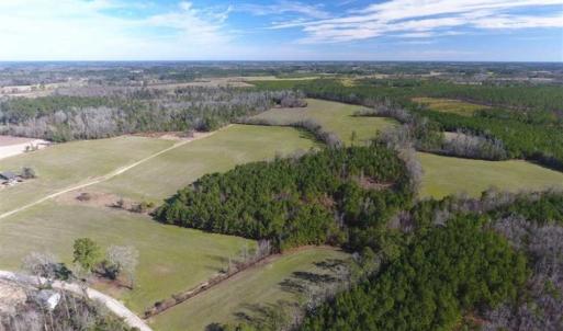 Photo of REDUCED!  191.03 Acres of Farm and Timber Land for Sale in Horry County SC!