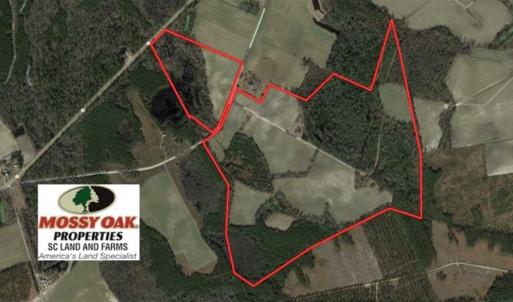 Photo of REDUCED!  191.03 Acres of Farm and Timber Land for Sale in Horry County SC!