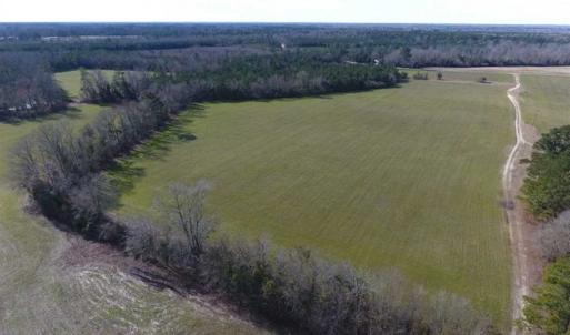 Photo of REDUCED!  191.03 Acres of Farm and Timber Land for Sale in Horry County SC!
