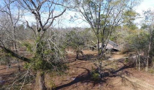 Photo of REDUCED!  191.03 Acres of Farm and Timber Land for Sale in Horry County SC!