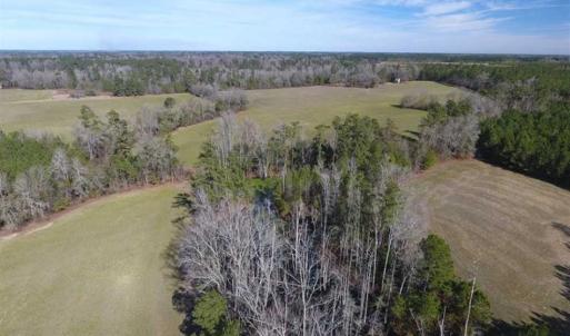 Photo of REDUCED!  191.03 Acres of Farm and Timber Land for Sale in Horry County SC!