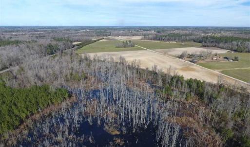 Photo of REDUCED!  191.03 Acres of Farm and Timber Land for Sale in Horry County SC!