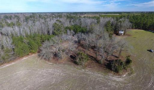 Photo of REDUCED!  191.03 Acres of Farm and Timber Land for Sale in Horry County SC!