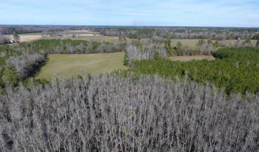 Photo of REDUCED!  191.03 Acres of Farm and Timber Land for Sale in Horry County SC!