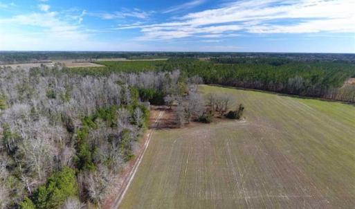 Photo of REDUCED!  191.03 Acres of Farm and Timber Land for Sale in Horry County SC!