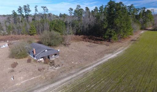 Photo of REDUCED!  191.03 Acres of Farm and Timber Land for Sale in Horry County SC!