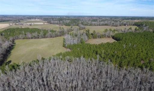 Photo of REDUCED!  191.03 Acres of Farm and Timber Land for Sale in Horry County SC!