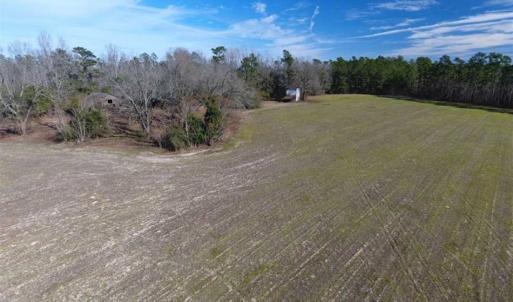 Photo of REDUCED!  191.03 Acres of Farm and Timber Land for Sale in Horry County SC!