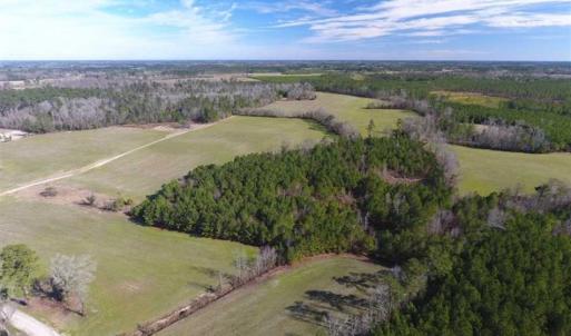 Photo of REDUCED!  191.03 Acres of Farm and Timber Land for Sale in Horry County SC!