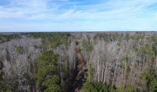 Photo of REDUCED!  191.03 Acres of Farm and Timber Land for Sale in Horry County SC!