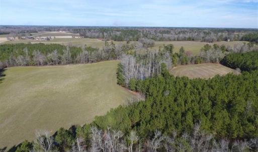 Photo of REDUCED!  191.03 Acres of Farm and Timber Land for Sale in Horry County SC!