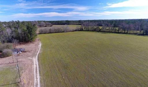 Photo of REDUCED!  191.03 Acres of Farm and Timber Land for Sale in Horry County SC!