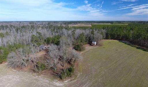 Photo of REDUCED!  191.03 Acres of Farm and Timber Land for Sale in Horry County SC!
