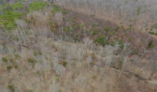 Photo of SOLD!!  28.8 Acres of Hunting and Residential Land For Sale in Fluvanna County VA!