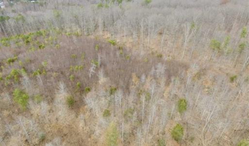 Photo of SOLD!!  28.8 Acres of Hunting and Residential Land For Sale in Fluvanna County VA!