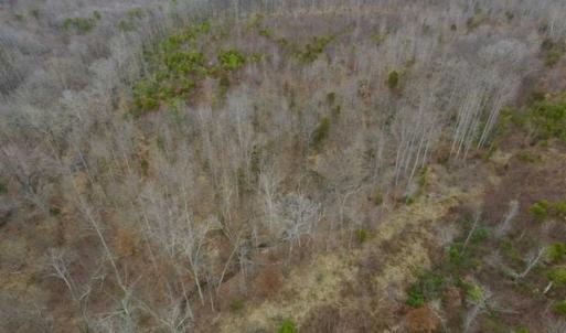 Photo of SOLD!!  28.8 Acres of Hunting and Residential Land For Sale in Fluvanna County VA!