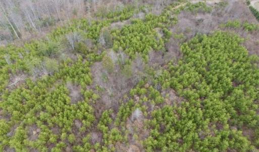 Photo of SOLD!!  28.8 Acres of Hunting and Residential Land For Sale in Fluvanna County VA!