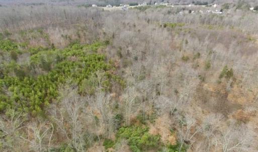 Photo of SOLD!!  28.8 Acres of Hunting and Residential Land For Sale in Fluvanna County VA!