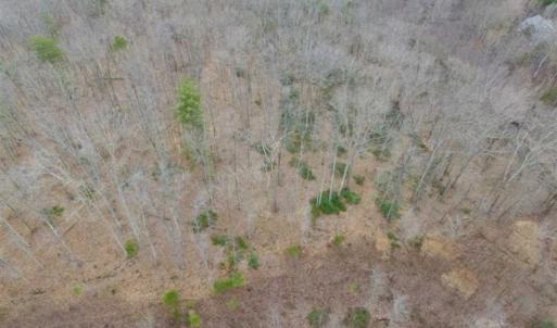 Photo of SOLD!!  28.8 Acres of Hunting and Residential Land For Sale in Fluvanna County VA!