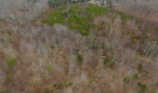 Photo of SOLD!!  28.8 Acres of Hunting and Residential Land For Sale in Fluvanna County VA!