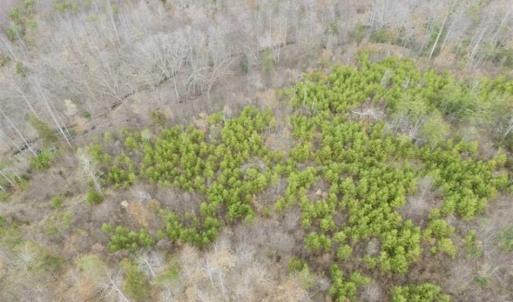 Photo of SOLD!!  28.8 Acres of Hunting and Residential Land For Sale in Fluvanna County VA!