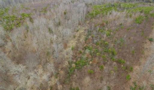 Photo of SOLD!!  28.8 Acres of Hunting and Residential Land For Sale in Fluvanna County VA!
