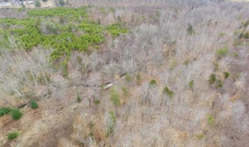 Photo of SOLD!!  28.8 Acres of Hunting and Residential Land For Sale in Fluvanna County VA!