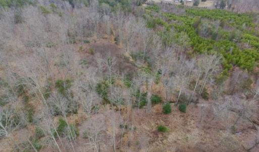 Photo of SOLD!!  28.8 Acres of Hunting and Residential Land For Sale in Fluvanna County VA!