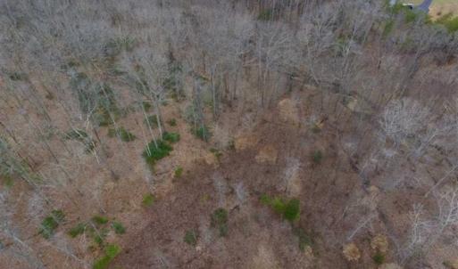 Photo of SOLD!!  28.8 Acres of Hunting and Residential Land For Sale in Fluvanna County VA!