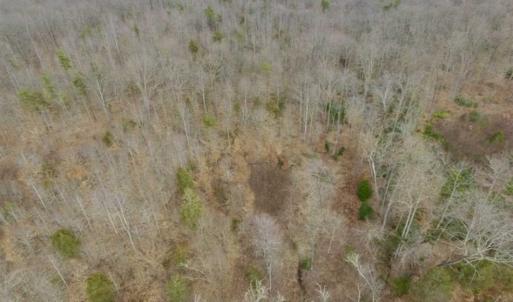 Photo of SOLD!!  28.8 Acres of Hunting and Residential Land For Sale in Fluvanna County VA!