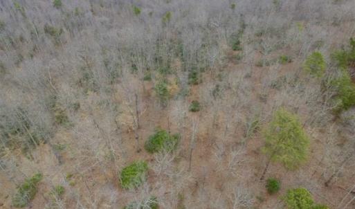 Photo of SOLD!!  28.8 Acres of Hunting and Residential Land For Sale in Fluvanna County VA!