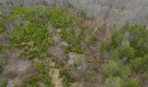 Photo of SOLD!!  28.8 Acres of Hunting and Residential Land For Sale in Fluvanna County VA!