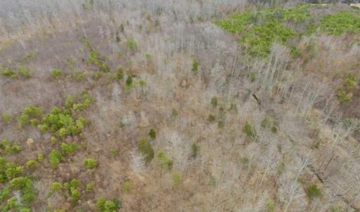 Photo of SOLD!!  28.8 Acres of Hunting and Residential Land For Sale in Fluvanna County VA!