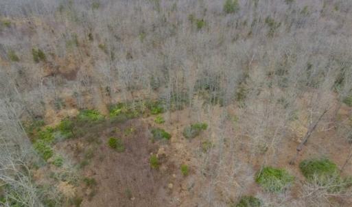 Photo of SOLD!!  28.8 Acres of Hunting and Residential Land For Sale in Fluvanna County VA!