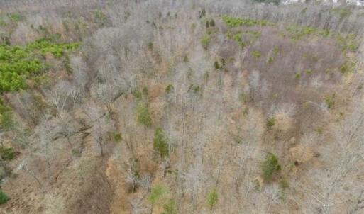 Photo of SOLD!!  28.8 Acres of Hunting and Residential Land For Sale in Fluvanna County VA!