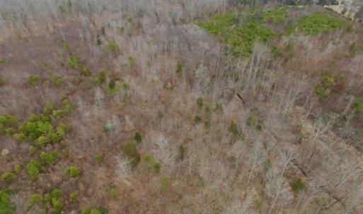 Photo of SOLD!!  28.8 Acres of Hunting and Residential Land For Sale in Fluvanna County VA!