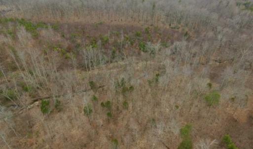 Photo of SOLD!!  28.8 Acres of Hunting and Residential Land For Sale in Fluvanna County VA!