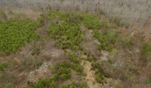 Photo of SOLD!!  28.8 Acres of Hunting and Residential Land For Sale in Fluvanna County VA!