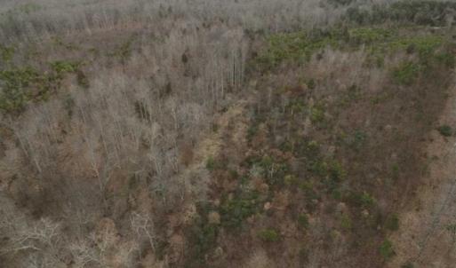 Photo of SOLD!!  28.8 Acres of Hunting and Residential Land For Sale in Fluvanna County VA!