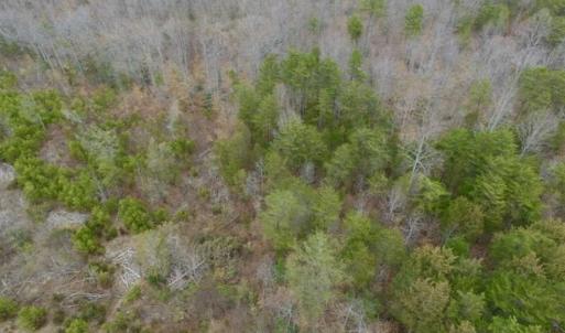 Photo of SOLD!!  28.8 Acres of Hunting and Residential Land For Sale in Fluvanna County VA!