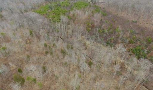 Photo of SOLD!!  28.8 Acres of Hunting and Residential Land For Sale in Fluvanna County VA!