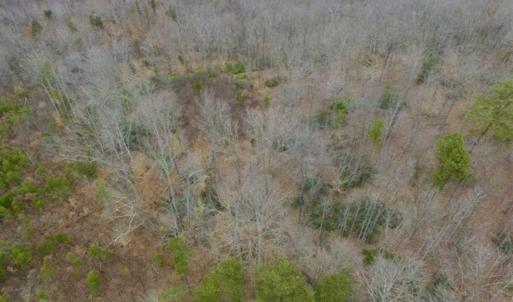 Photo of SOLD!!  28.8 Acres of Hunting and Residential Land For Sale in Fluvanna County VA!