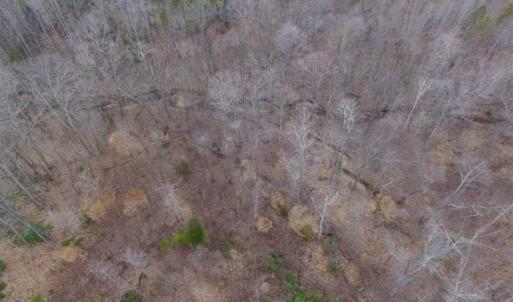 Photo of SOLD!!  28.8 Acres of Hunting and Residential Land For Sale in Fluvanna County VA!